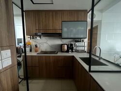 Vista Residences (D12), Condominium #596562101
